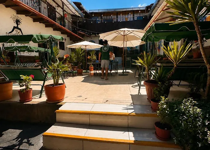 Terra House